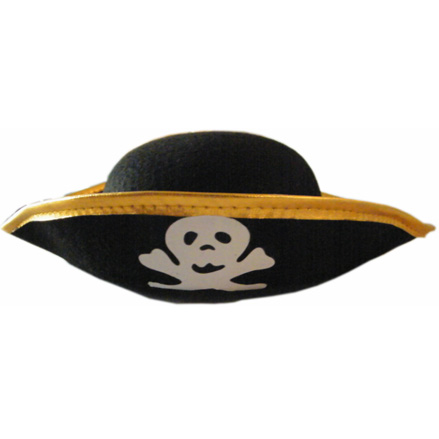 Pirate Hat