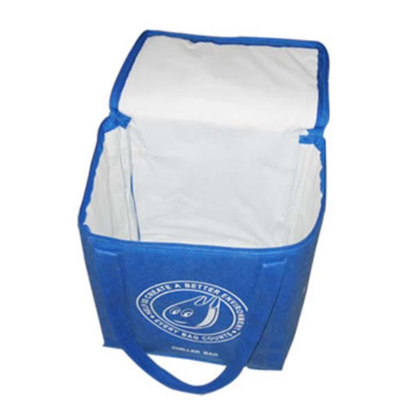 Cooler Bag