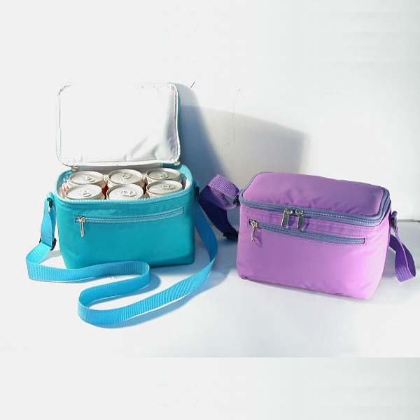 Cooler Bag