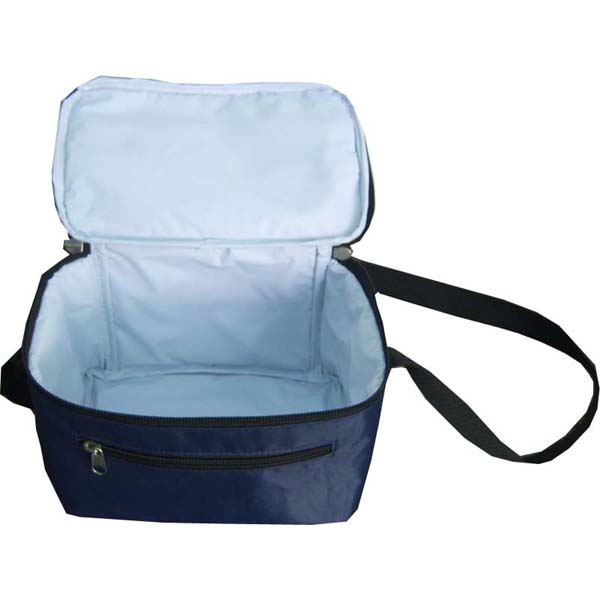 Cooler Bag