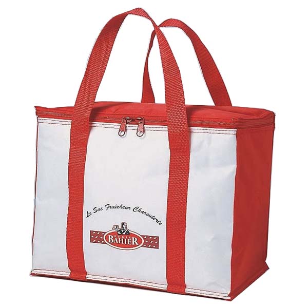 Cooler Bag