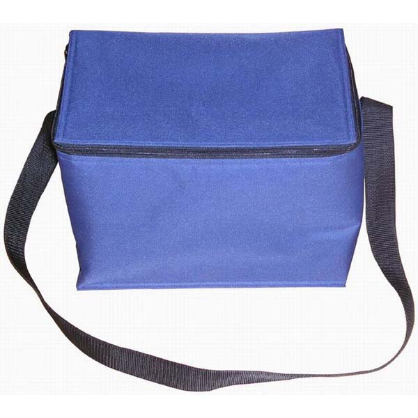 Cooler Bag