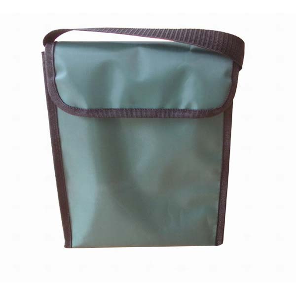 Cooler Bag