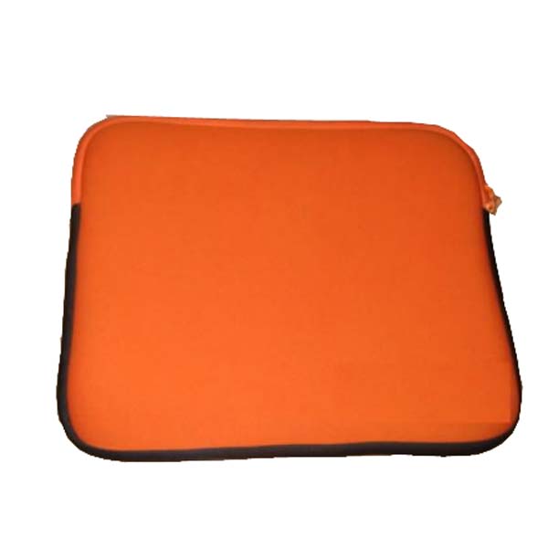 Computer Bag