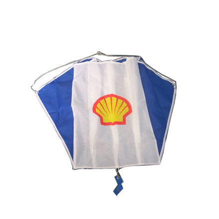 Parafoil Kite