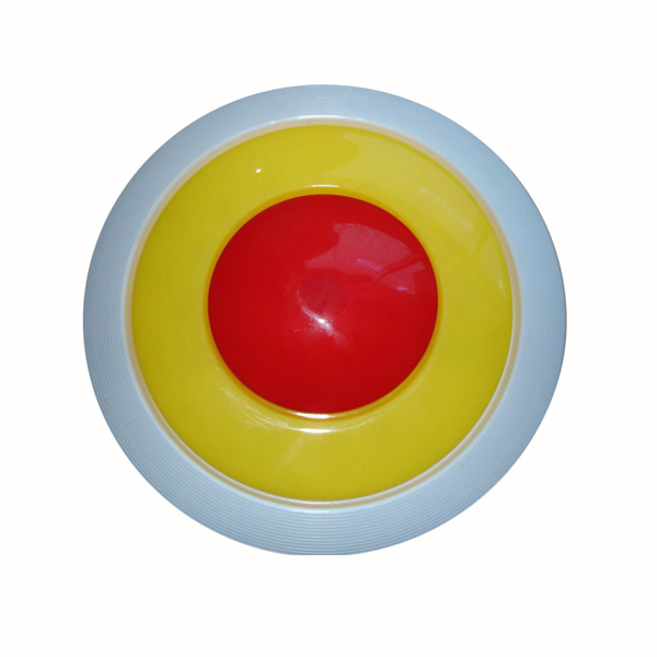 Frisbee