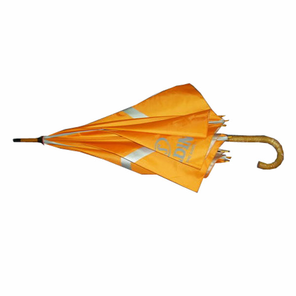 Umbrella