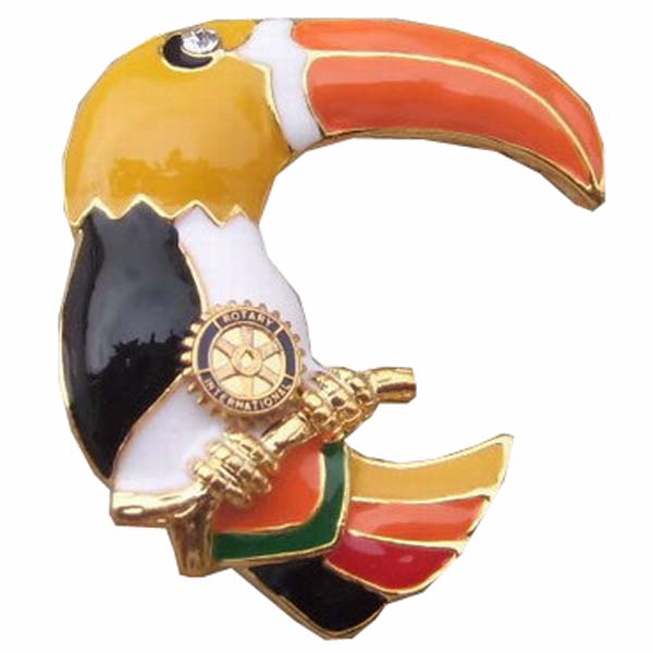 Toucan Pin