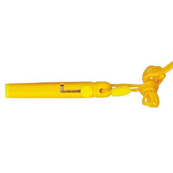 Pen