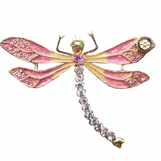 Dragonfly Pin