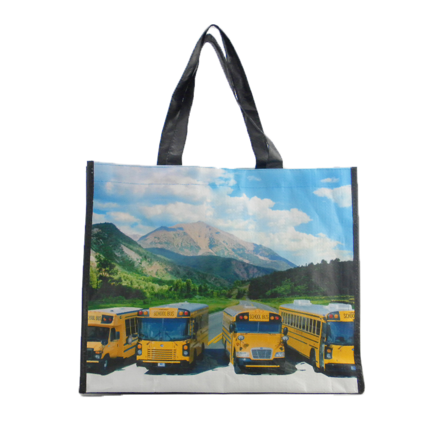PP Woven Bag