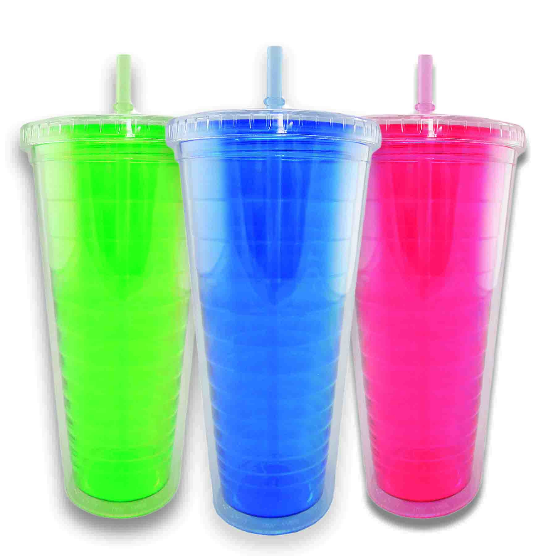 Double Wall Tumbler with Straw