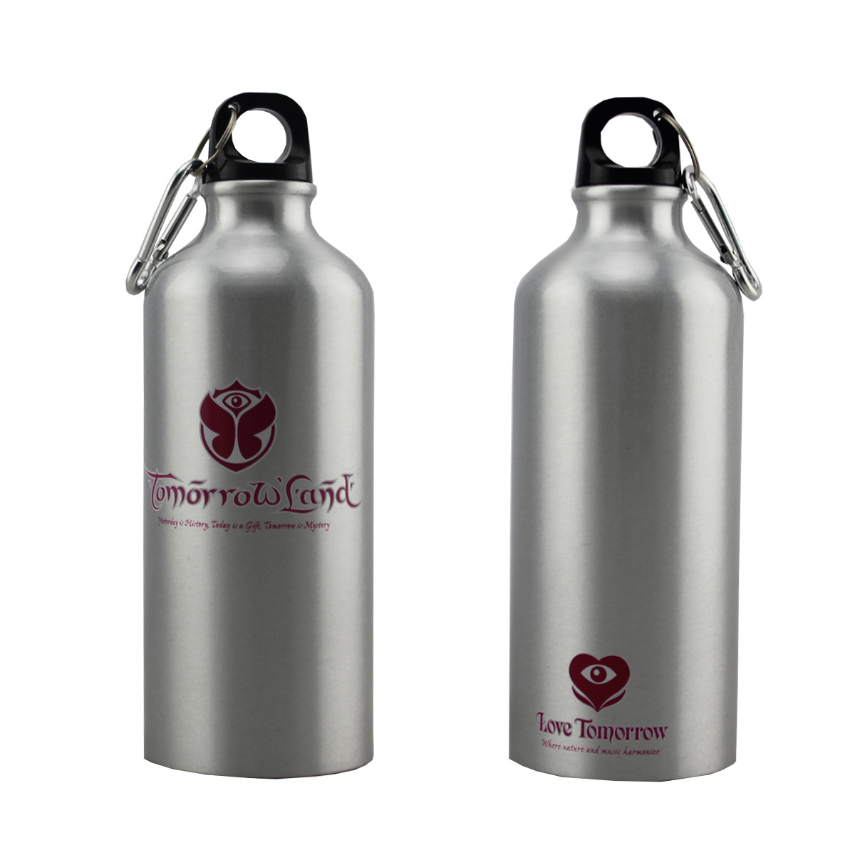 Silver Bottle with Carabiner